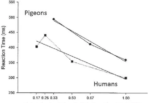 Figure 1:   Average  response  times  of  pigeons  and  humans  depending  on  transitional  predictability of the items in a sequence