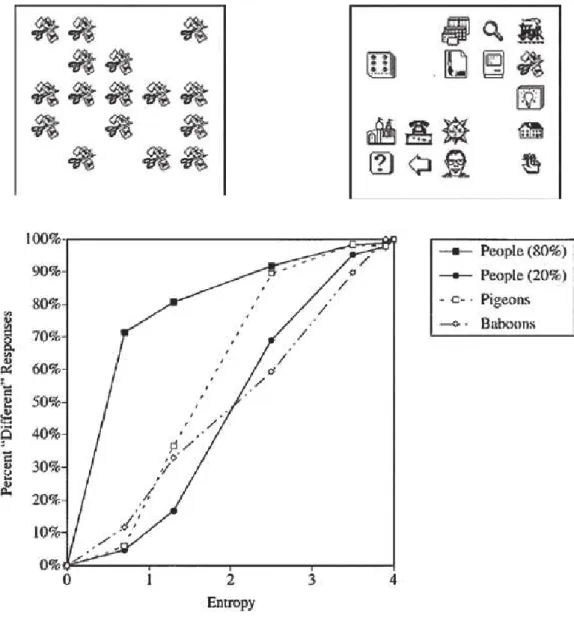 Figure 4:   Use  of  perceptual  (entropy)  cues  by  pigeons,  monkeys  and  humans,  in  a  same/different  discrimination  task