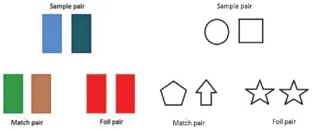 Figure 5:   Illustration of the relational matching task used, in baboons, with color  (left part of the ﬁgure) and shape (right) stimuli.