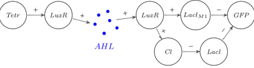 Figure 3: The band detector regulatory circuit.