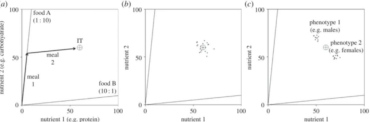 Figure 1. Nutritional geometry models. (a) Nutritional geometry (see box 1) model for two nutrients, e.g
