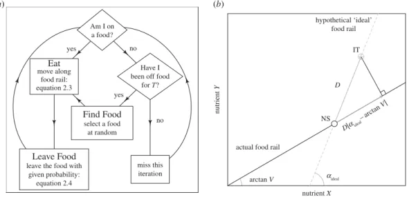 Figure 2. The model’s implementation of nutritional geometry. (a) Overview of the flow of events in the agent-based model
