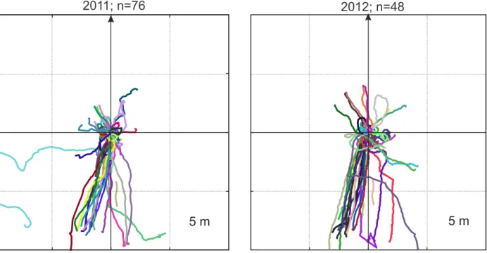 Figure S1  Foraging patterns at the M. croslandi nest used in this study. Panels show the individual paths of foragers as they have been recorded  with differential GPS over a period of two years