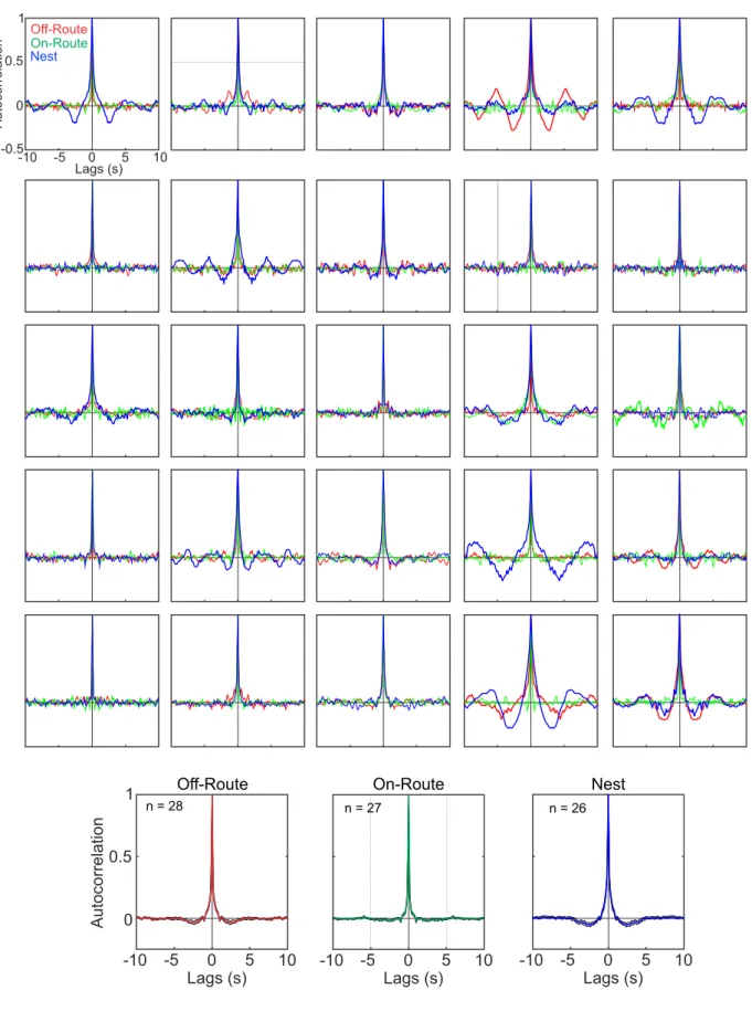 Figure S3 Comparison of auto-correlation functions of 5 minute time series of changes in path direction at the three locations