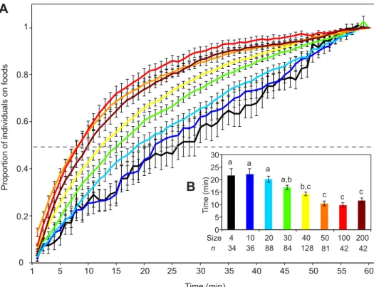 Fig. 2. Effect of group size on choice dynamics. (A) Proportion of individuals (number of flies normalized to the maximum of individuals seen on patches during the experiment) on food patches through time.