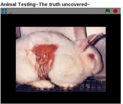 Figure 5. Scratch project raising awareness on animal testing. 