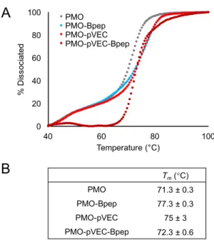 Figure 6. Peptide conjugation slightly alters PMO binding to a complementary nucleic acid