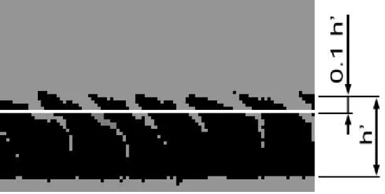 Fig. 6 Rescaled image of veneer used for Region Of Interest (ROI) extraction and coarse positions of  checks determination at the specified depth of veneer – 10% of its thickness (h’)  