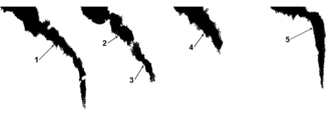 Fig. 8b The effect of closing operation: image before closing operation (a), after closing operation  made by kernel of 2x2 pixels (b) and 5x5 pixels (c) (for clarity both (b) and (c) shown after 