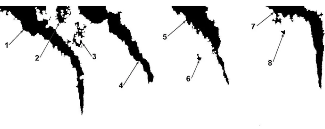 Fig. 8c The effect of closing operation: image before closing operation (a), after closing operation  made by kernel of 2x2 pixels (b) and 5x5 pixels (c) (for clarity both (b) and (c) shown after 