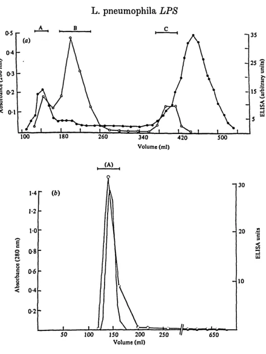 Fig. 1. (a) Elution profile of strain Corby saline extract from a Sepharose 4B column.