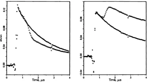 Fig. 6. One and two laser excitation 370 nm (right).