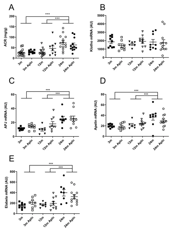 Figure 6.  Analysis of albuminuria, Klotho and apelinergic system expression in kidneys of control and Apln- Apln-treated mice at different ages