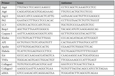 Table 2.  Primer sequences for RT-PCR analysis.