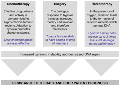 Figure 22: Impact de l’hypoxie tumorale sur les traitements conventionnels des tumeurs : la chimiothérapie, la  chirurgie et la radiothérapie (153)