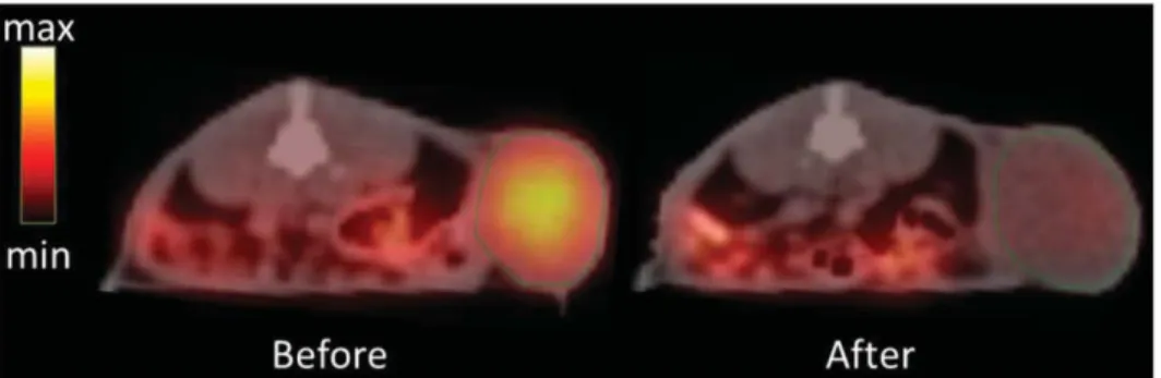 Figure 35: L’évofosfamide diminue la fraction hypoxique de la tumeur sur un modèle murin de rhabdomyosarcome  (233) 