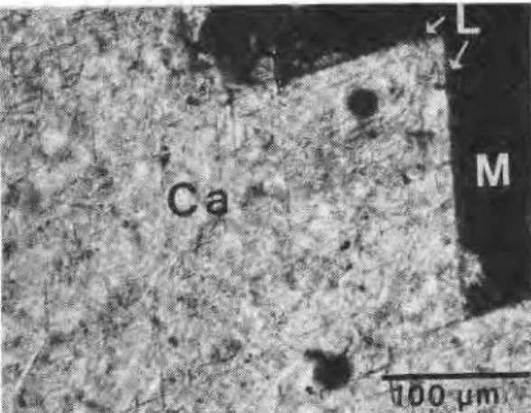 FIG.  5. Graph of  drilling rate  versus  surface area of  grain  boundaries  per  cubic centimetre  of  rock