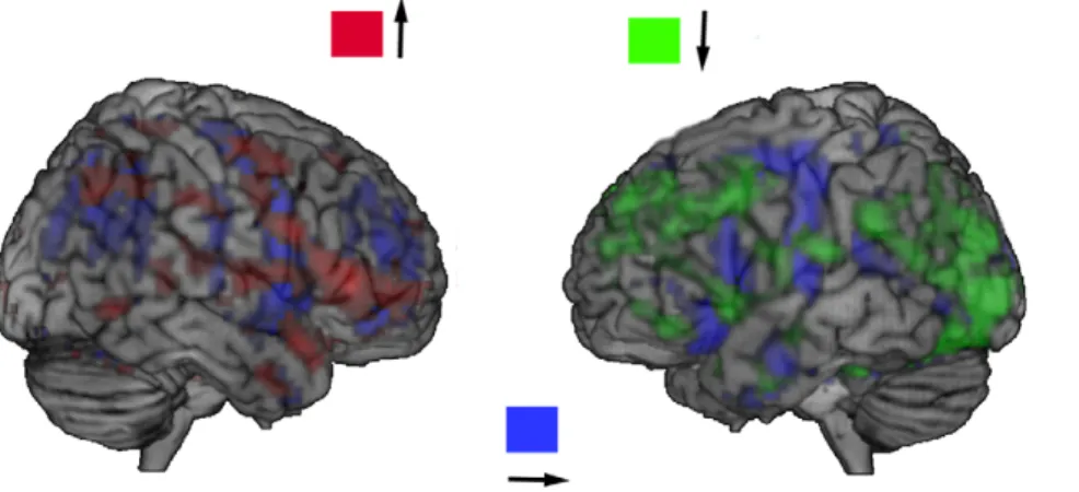 Figure 4. The left-right and top-down projections of the gradients, the intensity of projections coded by colours