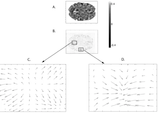 Table 1. Brain activations for the main effect of faces.