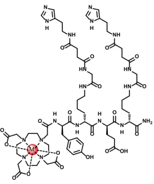 Figure 17 : Structure du ligand HSG-haptène divalent. M* : métal radioactif. D’après Janevik-Ivanovska et  al.[195] 