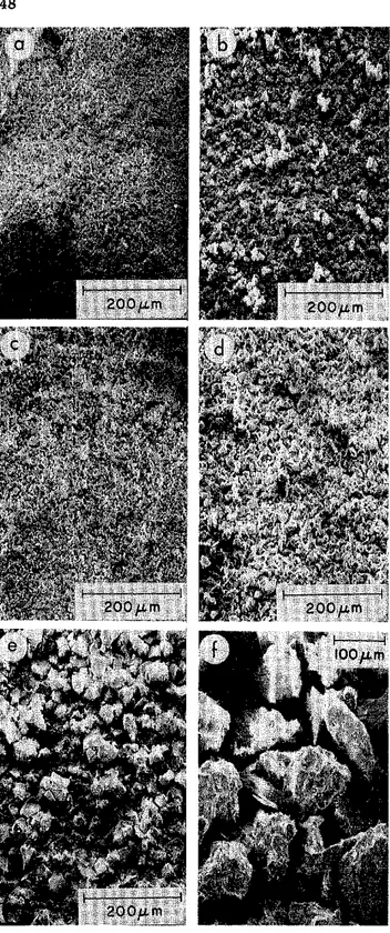 Fig.  3. Examination  of CaCO,  particles  by  SEM,  all  at same magnification: (a)  Ac  CaCO,; 