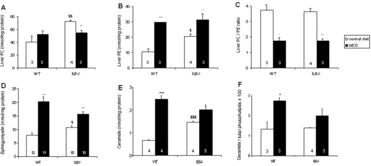 Figure 4. Effect of IL-6 deficiency on MCD diet-induced peroxidation of liver lipids. Total lipoperoxides were measured as TBARS