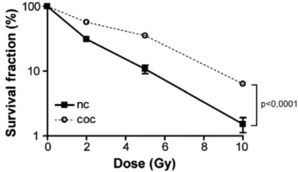 Fig. 1. Coculture with adipocytes improves SUM159PT survival after irradiation.