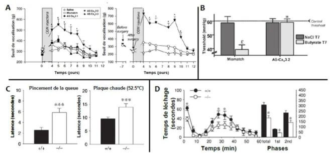 Figure 20 :  Impact de l’inhibition des canaux Cav3.2 sur la nociception en conditions saines et pathologiques