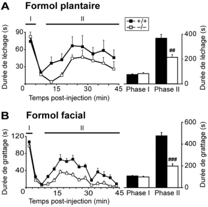 Figure 19. Evaluation de la douleur  inflammatoire  aiguë  spontanée  chez les souris KO Nav1.9