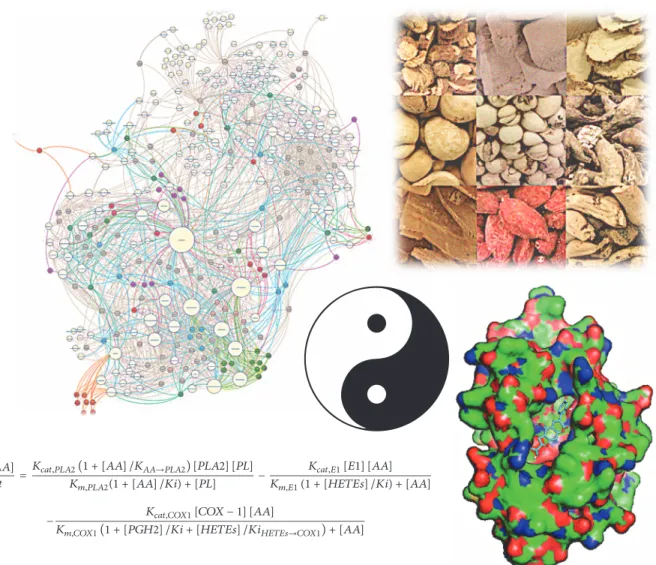 Figure 1: An illustration of Chinese herbal medicine and some computational methods. At the centre is a yin-yang symbol representing the philosophy of traditional Chinese medicine, surrounded by a picture of herbal materials, a protein-ligand complex deriv