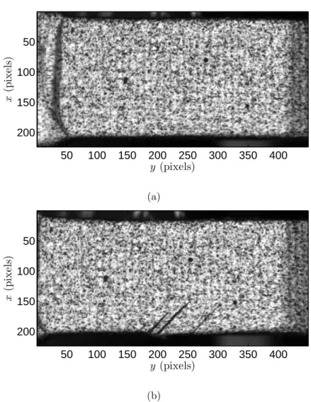 Figure 9: Reference picture (a) and 99 th deformed picture (b) of the tensile test on a composite material