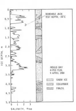Fig.  3  Vertical salinity and texture profile of  multi-year  ridge ice 