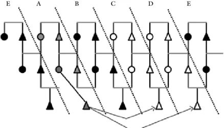 figure 1. The “four clans rule” in the Karbi-speaking area of Rongkhang. In this example, a mem- mem-ber of clan A might be adopted neither by that clan’s wife-givers (b) nor by its wife-takers (e).