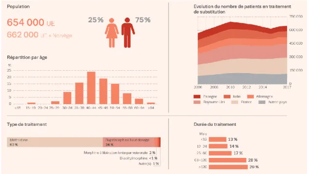 Figure 5 : caractéristiques générales des patients dépendants aux opioïdes traités par MSO en Europe en 2017 (2)