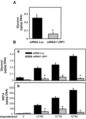 Figure 6. Silencing of LRP1 in pre-adipocytes inhibits lipolysis.