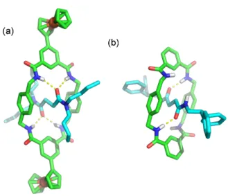 Figure 7. X-ray structures of: (a) rotaxane 1a and (b) Leigh’s rotaxane I [4]. 