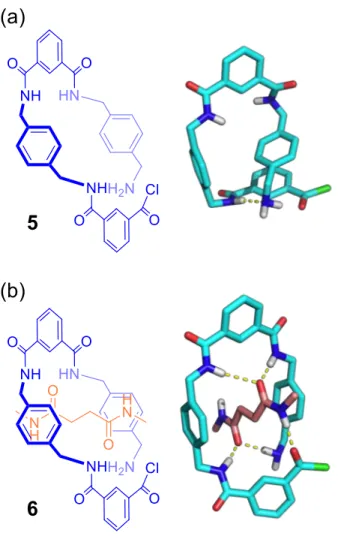 Figure  3.  Most  stable  conformers  obtained  by  Monte  Carlo  conformational  search  using  model  compounds