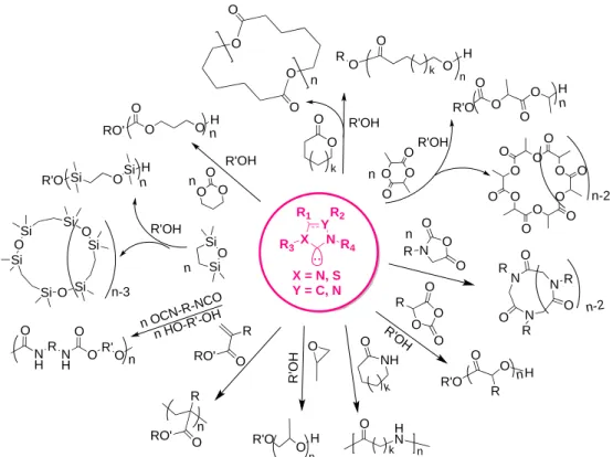 Figure 12. Representative NHC families used in polymerization reactions. 