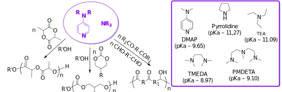 Figure 14. Scope of amine-catalyzed polymerization reactions and representative  catalysts (pKa values are given in H 2 O)