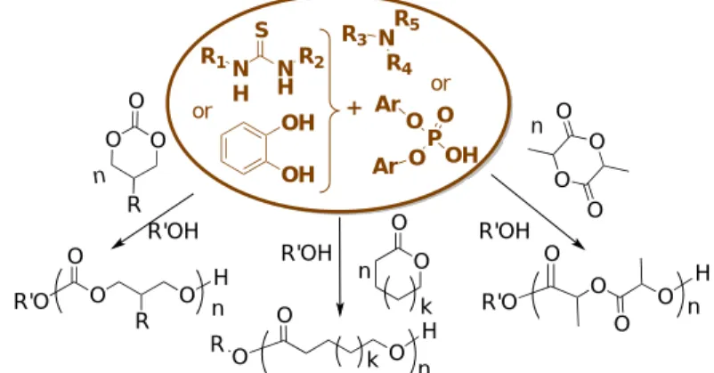 Figure 17. Overview of ROP induced by a dual-activation.  