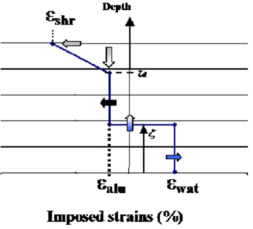 Fig. 12: Profiles of imposed strains during the 14 first months 