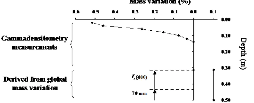 Fig. 5 : Mass variation profile for the 400-day-old beam: gammadensitometry and water absorption zone  determined using the global mass measurement
