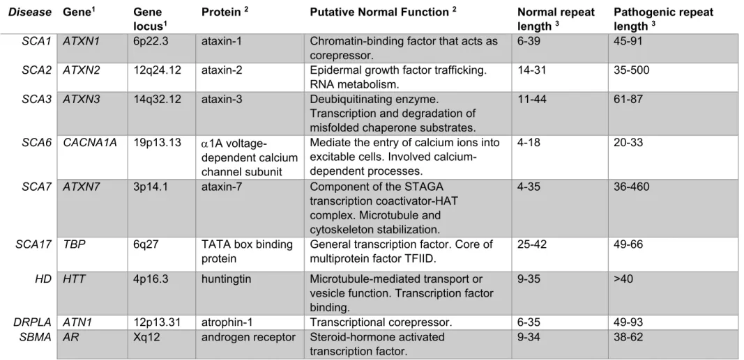 Table 1 Polyglutamine disorders, their associated gene, gene locus, protein and function, and the CAG repeat thresholds