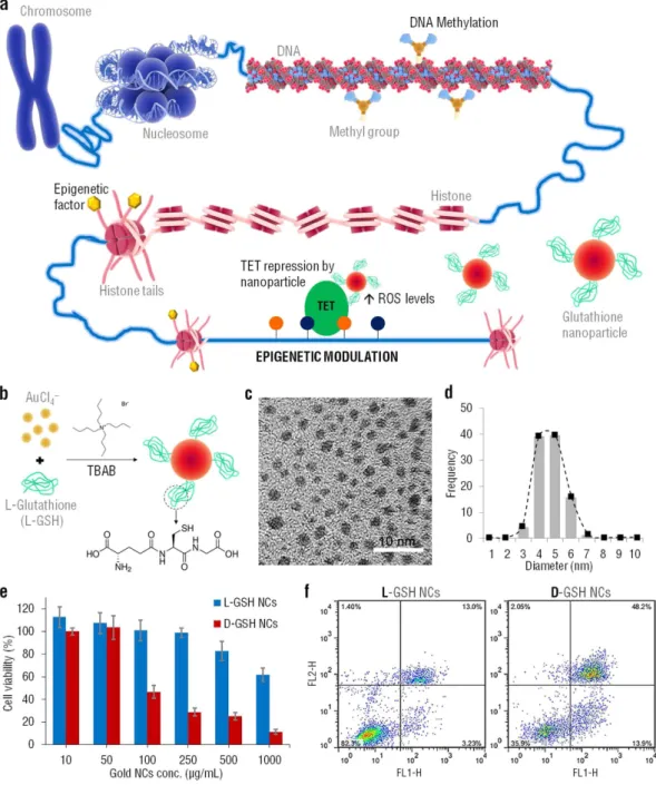 Figure 1.  Characterization of L-GSH capped AuNCs and evaluation of its cytotoxicity, when compared  with its enantiomer D-GSH capped AuNCs