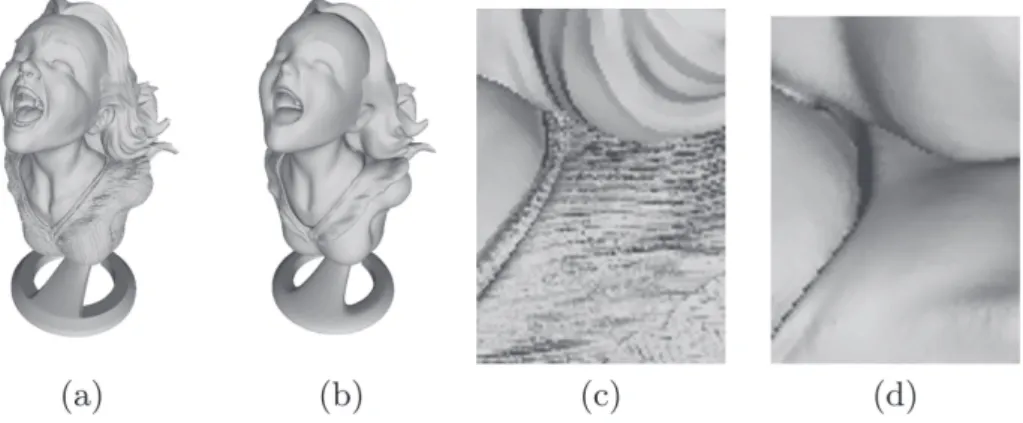 Fig. 2. (a) 3D-shape used in the tests (the well-known “Joyful Yell” 3D-model), which will be covered with two different albedos