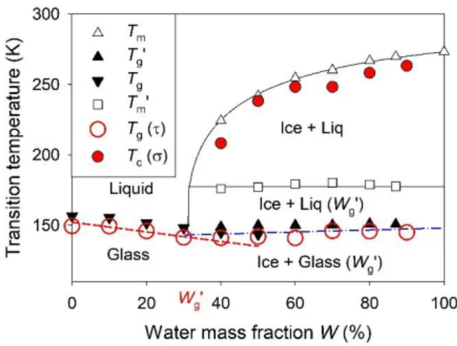 FIG. 4. Phase diagram of the DES aqueous mixtures as a function of the water mass fraction