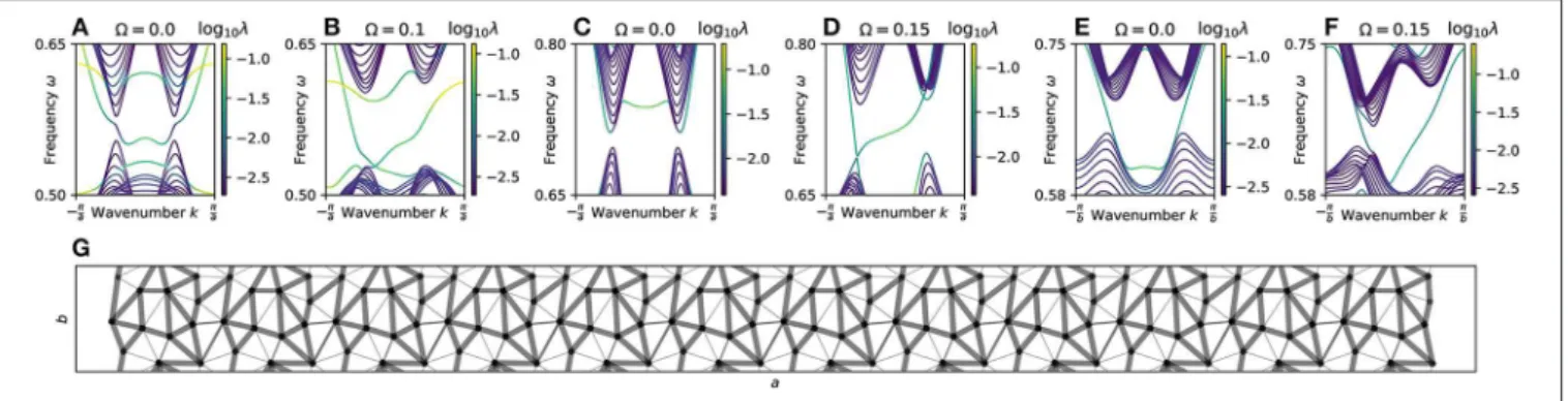 FIGURE 2 | Topologically protected edge bands. Considering the same networks as in Figure 1, we constructed ribbon-like 1D crystal realizations that are infinitely periodic in one lattice direction, and of finite extent (12 unit cells wide) with open bound
