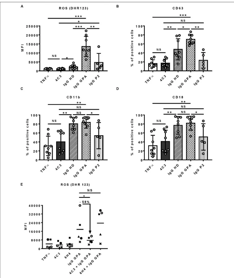 FIGURE 3 | 4C3 does not allow activation of human neutrophils and inhibits PR3-ANCA-induced activation