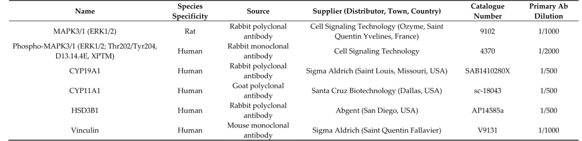 Table 2. Characteristics of primary antibodies used for western blotting. 