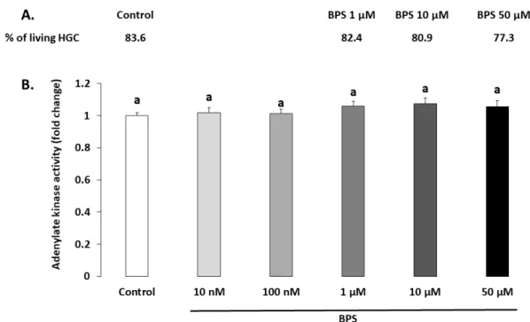 Figure 1. Effect of Bisphenol S (BPS) on human granulosa cell (HGC) viability. HGC underwent 48‐h  culture in the presence or absence of BPS (10 nM, 100 nM, 1 μM, 10 μM or 50 μM). A. HGC viability  was assessed using the Live/Dead Viability/Cytotoxicity Ki